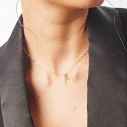 Collar caballito de aquamarine chapado en oro - Victoria Cruz